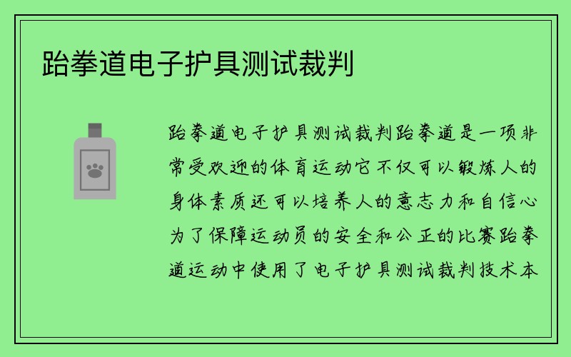 跆拳道电子护具测试裁判